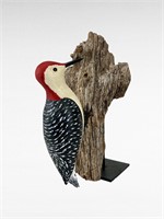 Red-bellied Wood Pecker - David Prime