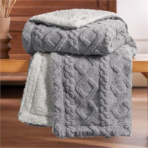 $60 Sherpa Blanket Twin Size