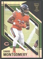 Shiny Parallel RC David Montgomery Chicago Bears