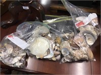 4 BAGS OF ASSORTED SHELLS