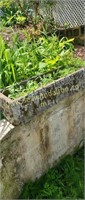 Concrete planters