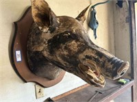 WILD BOAR HEAD MOUNT