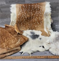 Animal Hides - Variety, all tanned
