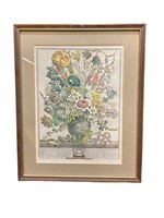Furber "March" 12 Months of Flowers Engraving