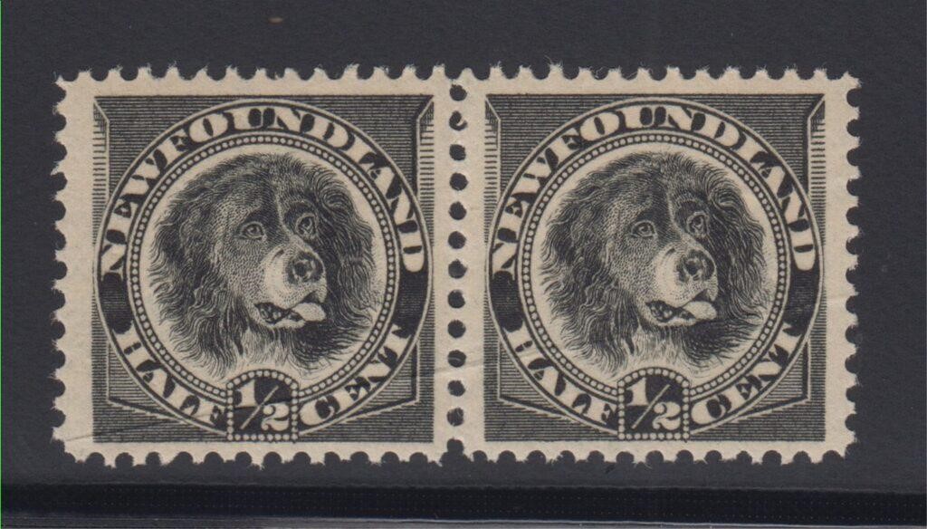 Newfoundland Stamp #58 Mint NH Pair with diagonal