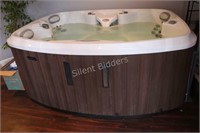 Marquis 4 Person Hot Tub Spa - Only Used Inside