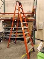 Werner 10' Step Ladder