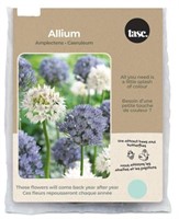 Tasc Allium Amplectens & Caeruleum Flower Bulbs -