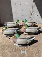 Cabela's Plastic Mallard Duck Decoys