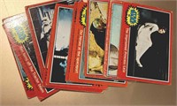 11 - 1977 Star Wars Series 2 Red Trading Cards