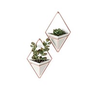 Umbra Trigg Hanging Planter Vase & Geometric Wall