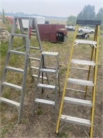 3 Step Ladders