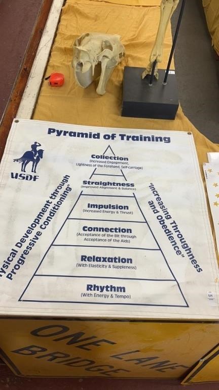 Equestrian Pyramid of Training Poster 3ftx3ft