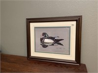 Wood Duck Print- Signed & Num Judson Williams