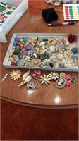 Vintage pins &earrings