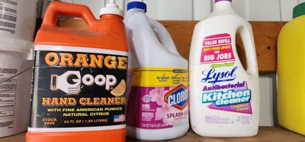 Orange Goop, Bleach, Lysol Cleaner