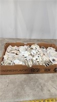 Large assortment of oyster shells
