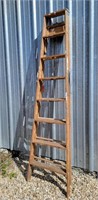Werner 8 ft. Ladder