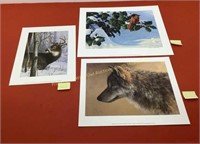 Prints Linder White Wolf study - Solberg Winter