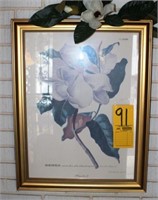 framed picture "Magnolia"