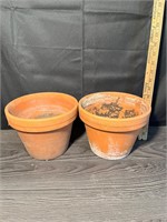 Terracotta Planter Pots
