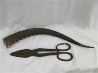 AFRICAN ANTELOPE HORN AND VINTAGE SHEARS