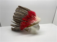 Indigenous headdress