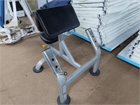 Synergy Seated Preacher Curl Machine