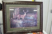 LARGE FRAMED DEER PRINT- NO SHIPPING