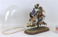 Victorian Taxidermied Bird Group