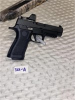 Sig Sauer P220 ~ 9MM  Pistol (NEW ~ See below)