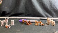 Miniature dogs and puppies