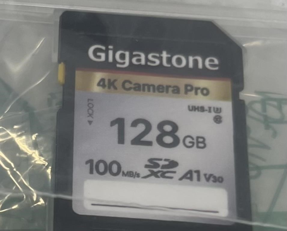 GIGASTONE 128GB SD 4K CAMERA SD CARD