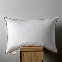 APSMILE Goose Feather Down Pillows -Single Pack