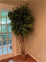 Indoor Wooden Tree