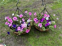 16" Metal Hanging Flower Baskets WITH FLOWERS!