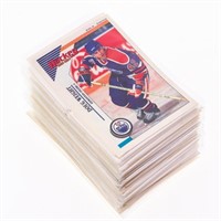 PANINI 1993-94 Hockey Sticker Collection