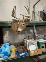 DEER MOUNT