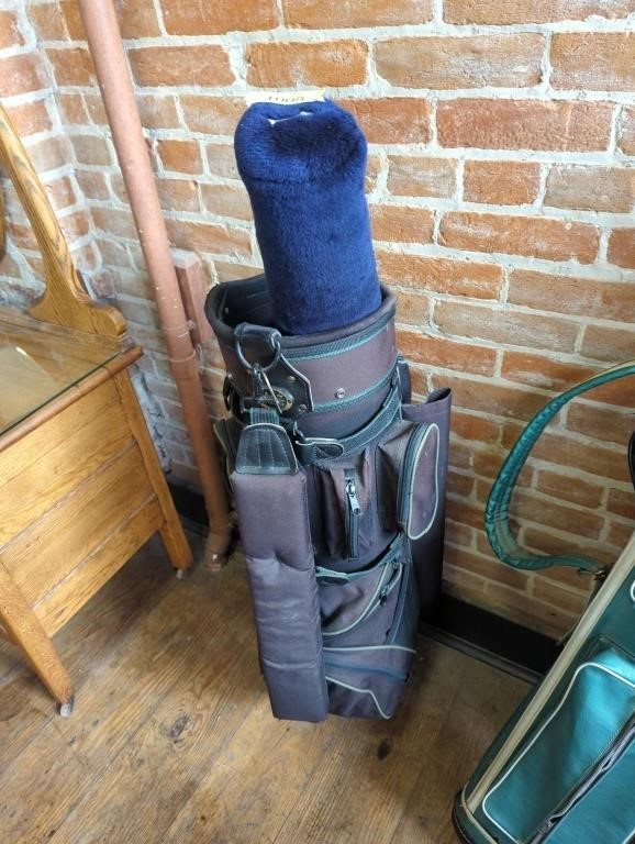 Golf bag & 1 club