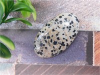 DALMATION JASPER ROCK STONE LAPIDARY SPECIMEN