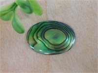 ABALONE CABOCHON ROCK STONE LAPIDARY SPECIMEN