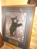 Black Bear Cub Picture, 24"Wx30"H