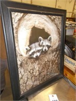 Raccoon Picture, 19 1/2"Wx24"H