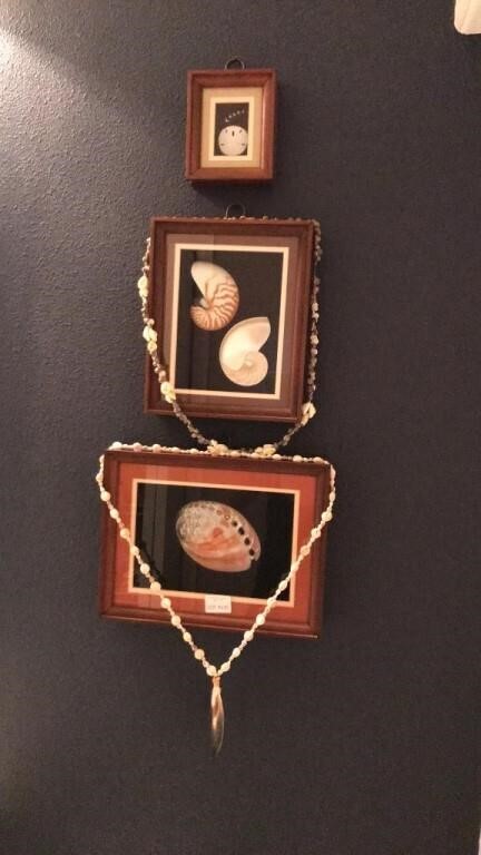 Framed shadow box shells necklaces
