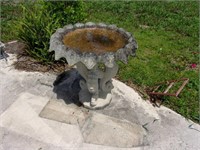 Bird Bath