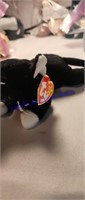 TY Zip the Black Cat Beanie Baby