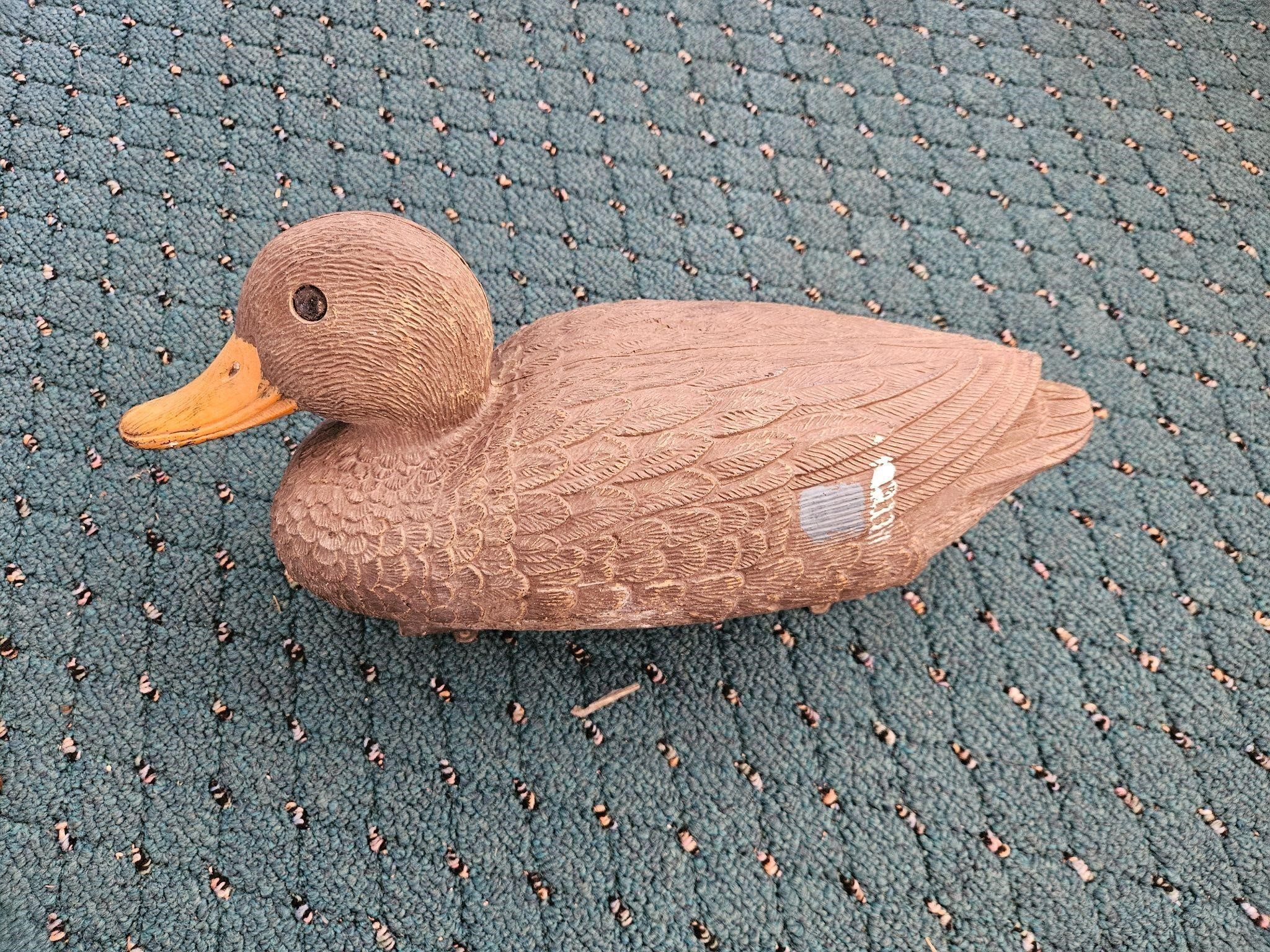 Decoy Duck