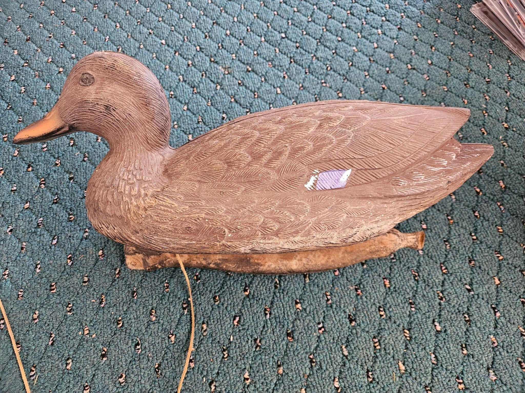 Decoy Duck