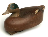 AN OVER-SIZED WIGEON DRAKE DECOY