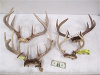 4 Sets of Vintage Deer Buck Antlers
